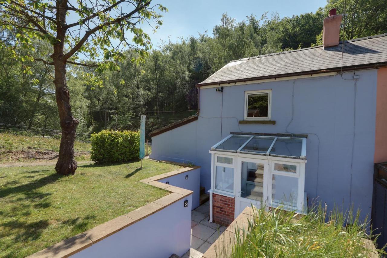 Lilac Cottage Parkend Екстериор снимка